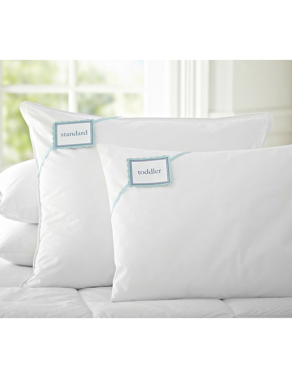 Relleno de almohada Natural Down 2