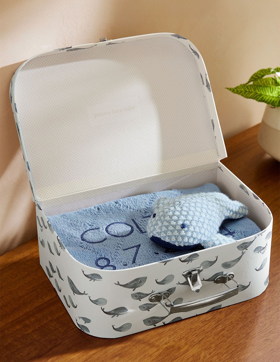 Set regalo Jake Whale