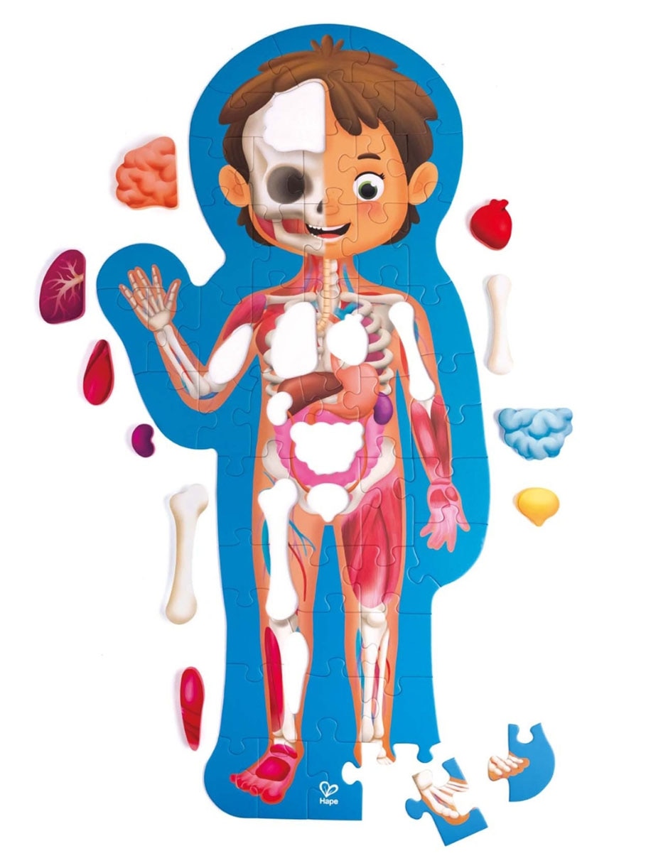 Rompecabezas Cuerpo Humano 61 piezas
