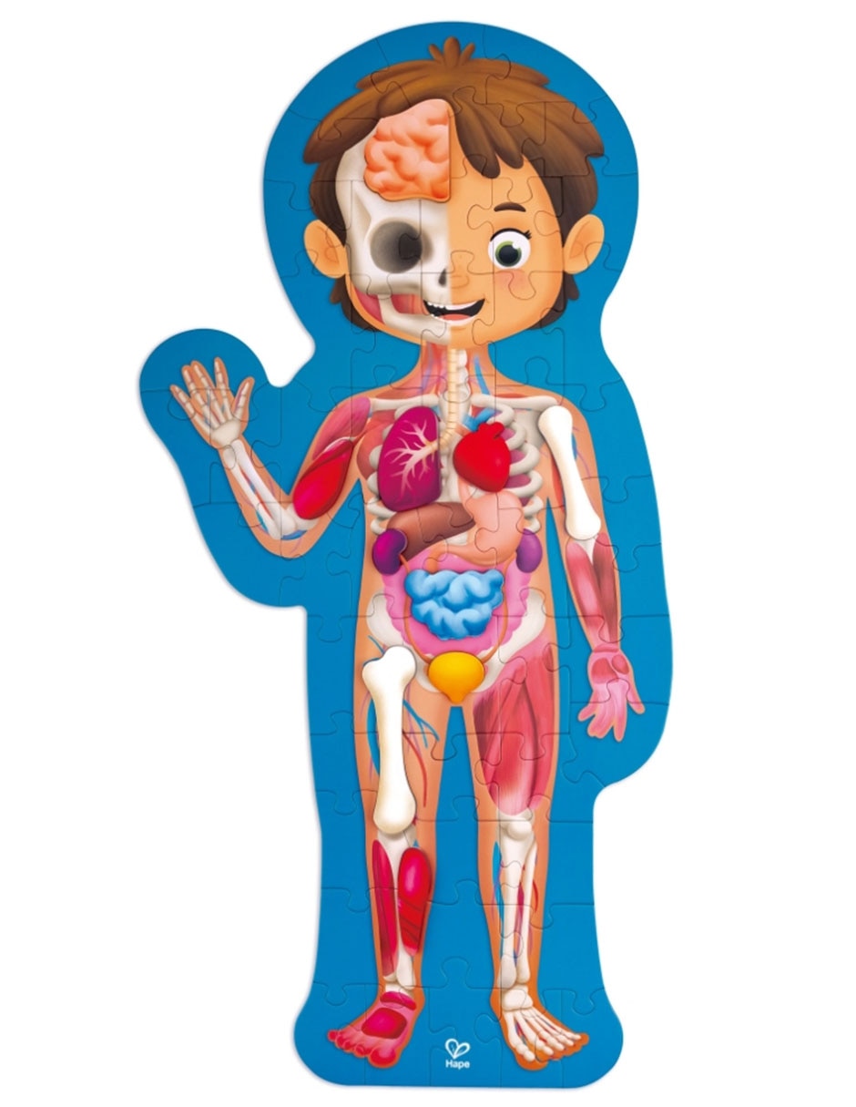 Rompecabezas Cuerpo Humano 61 piezas 4