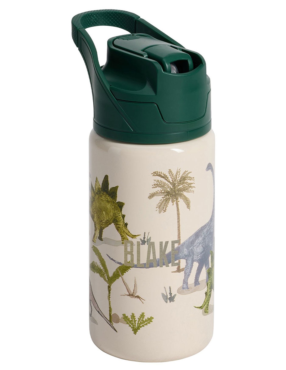 Termo Mackenzie Jurassic Dino con tapa a presión 445 ml Termo Mackenzie Jurassic Dino con tapa a presión 445 ml