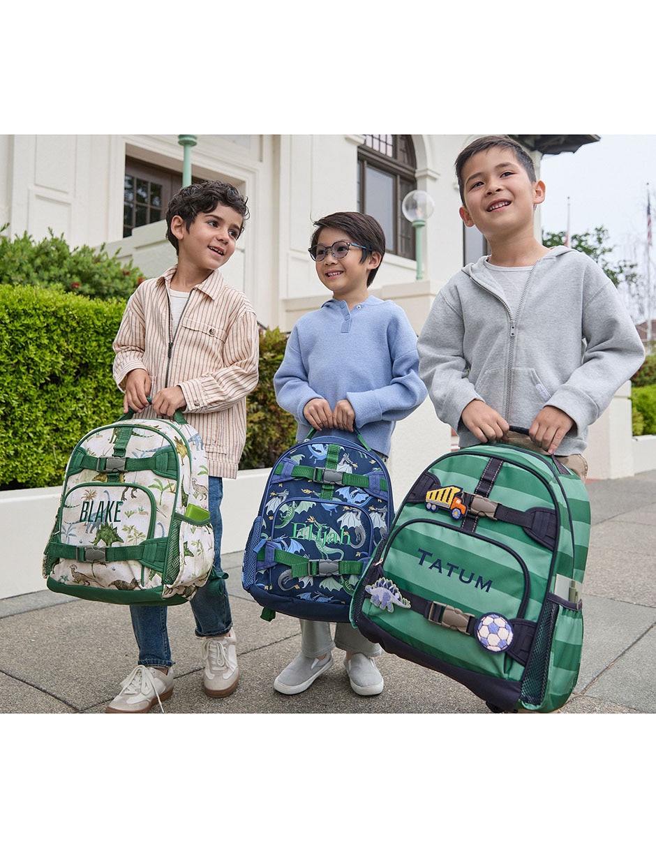 Mochila casual Mackenzie Green Stripe para niño