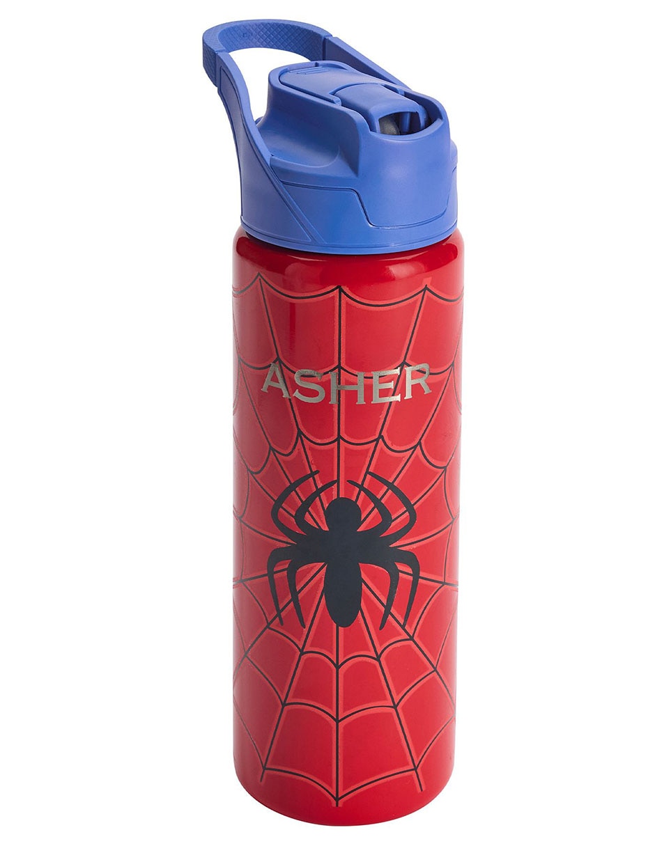 Termo de acero inoxidable Mackenzie con tapa push pull 650 ml