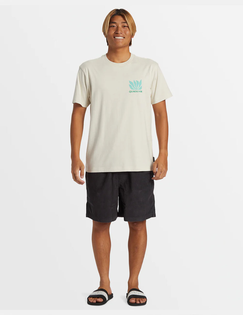 Short Quiksilver de algodón para hombre